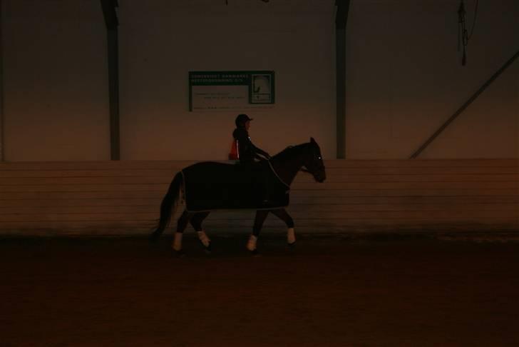 Til Molly og Mette Maj billede 8