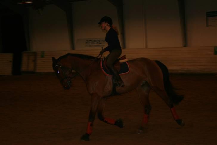 Til Molly og Mette Maj billede 9