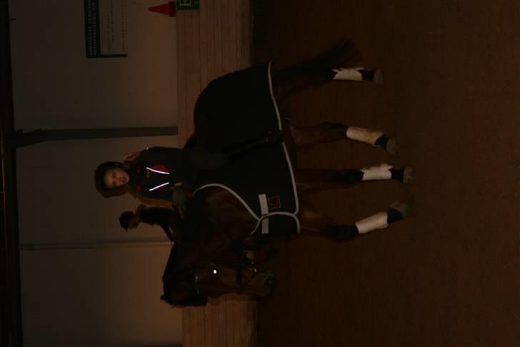 Til Molly og Mette Maj billede 11