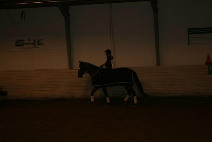 Til Molly og Mette Maj billede 17