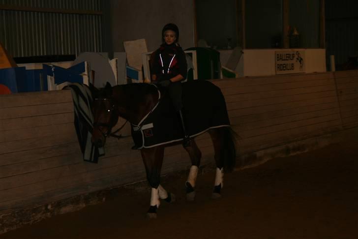 Til Molly og Mette Maj billede 20