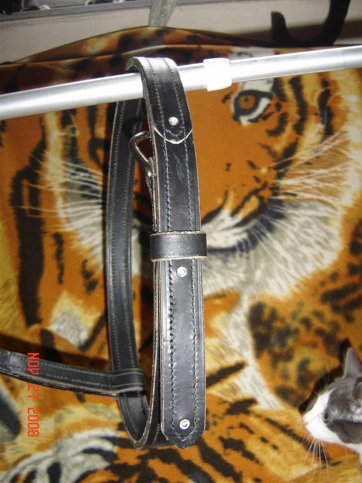 Lædersjov - Hesteting - Denne grime er str full den bliver lavt som man havde dem i gamle dage... jeg er ikke helt færdig med den der mangler sidestykker og så mangler hullerne hvor spændet sidder (Her er halsstykket så blevet længere og ja der kom da også lige 3 diamanter på *SS*....) Den skulle gerne være til Tamra... det er det første jeg har lavt... og tro mig det tager LANG tid at lave sådan en... hvert sting er lavet i hånden *SS* billede 25