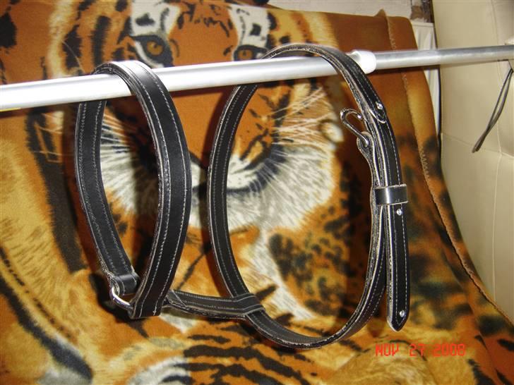 Lædersjov - Hesteting - Denne grime er str full den bliver lavt som man havde dem i gamle dage... jeg er ikke helt færdig med den der mangler sidestykker og så mangler hullerne hvor spændet sidder (Her er halsstykket så blevet længere og ja der kom da også lige 3 diamanter på *SS*....) Den skulle gerne være til Tamra... det er det første jeg har lavt... og tro mig det tager LANG tid at lave sådan en... hvert sting er lavet i hånden *SS* billede 26