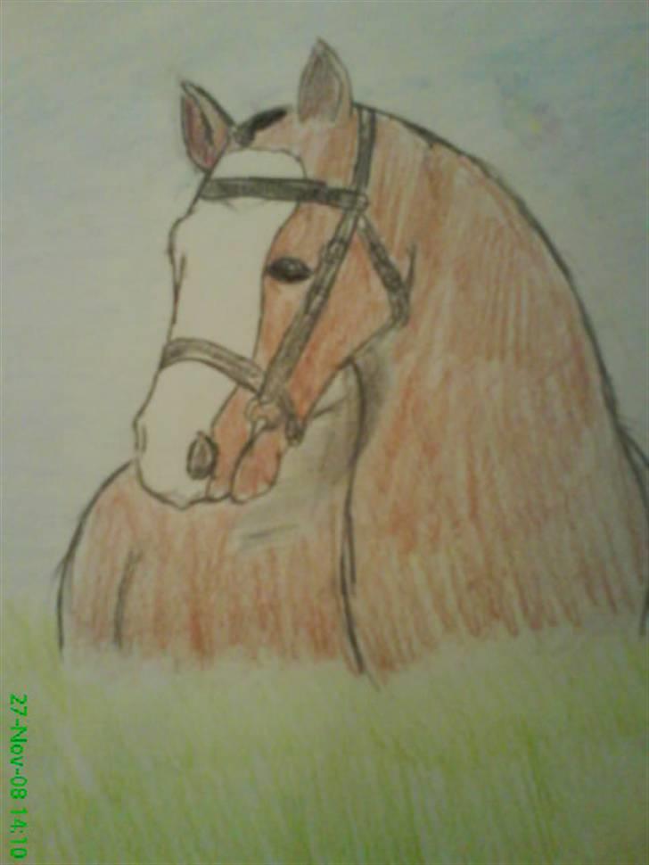 Tegninger billede 26