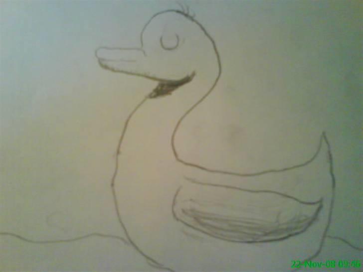Tegninger billede 29