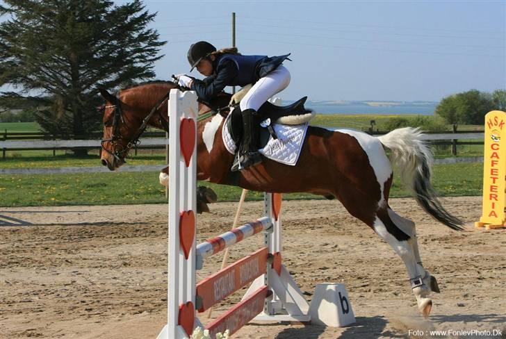 Jolly min spring pony  billede 3