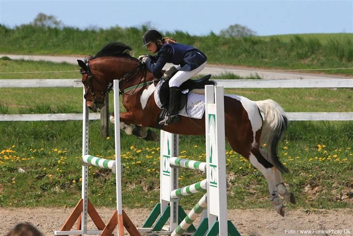 Jolly min spring pony  - Vi er flyvende billede 4