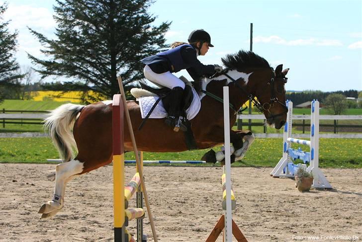 Jolly min spring pony  billede 5
