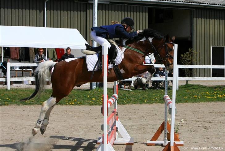 Jolly min spring pony  billede 6