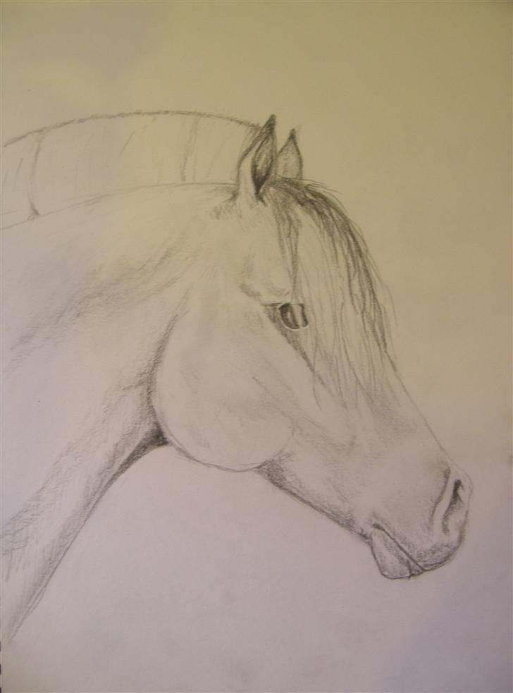 Tegninger jeg har tegnet... - Tegnet efter hovedet... billede 25