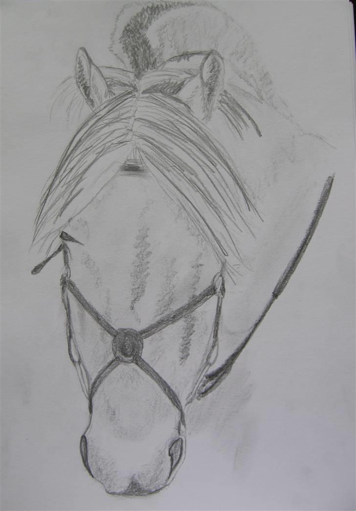 Tegninger jeg har tegnet... billede 29