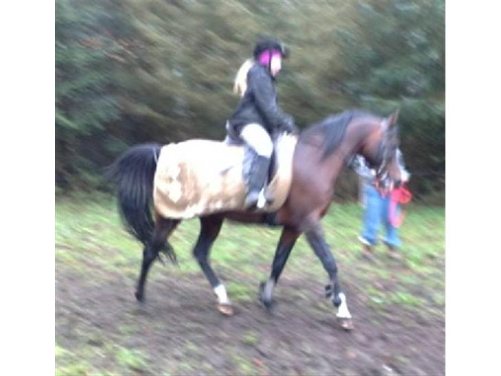 {{currentPhoto.altText}} billede {{currentPhoto.number}}