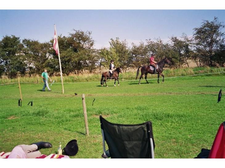 {{currentPhoto.altText}} billede {{currentPhoto.number}}