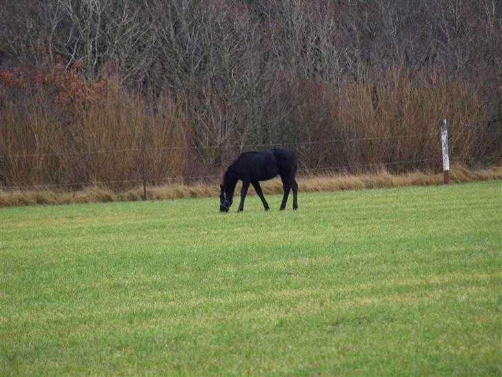 Grimme billeder taget en tilfældig dag på marken billede 1