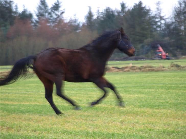 Grimme billeder taget en tilfældig dag på marken billede 2