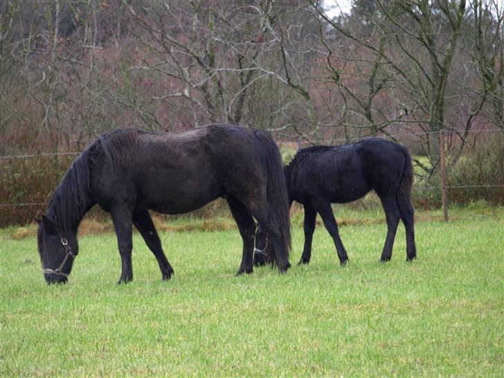 Grimme billeder taget en tilfældig dag på marken billede 3