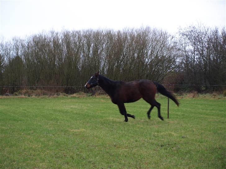 Grimme billeder taget en tilfældig dag på marken billede 4