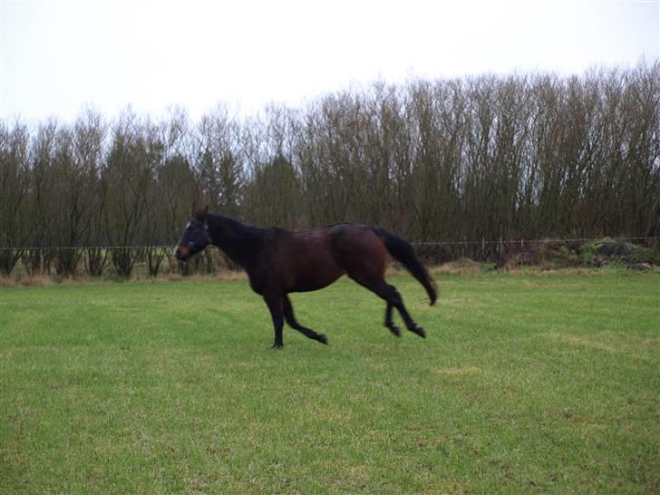 Grimme billeder taget en tilfældig dag på marken billede 5
