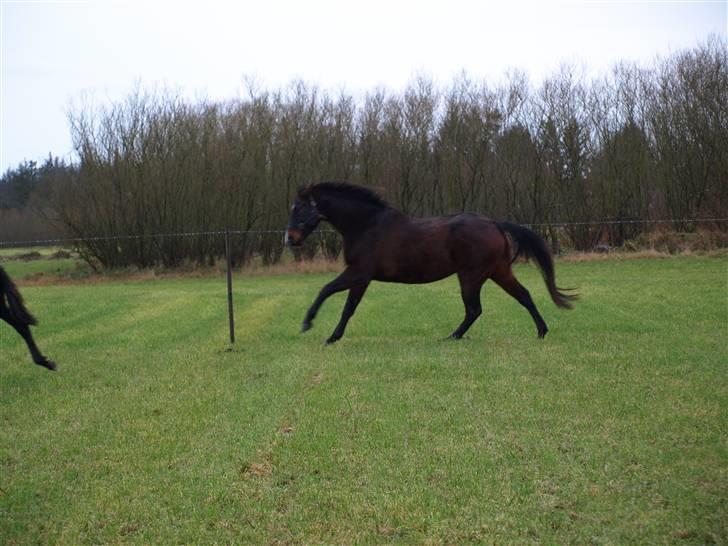 Grimme billeder taget en tilfældig dag på marken billede 6