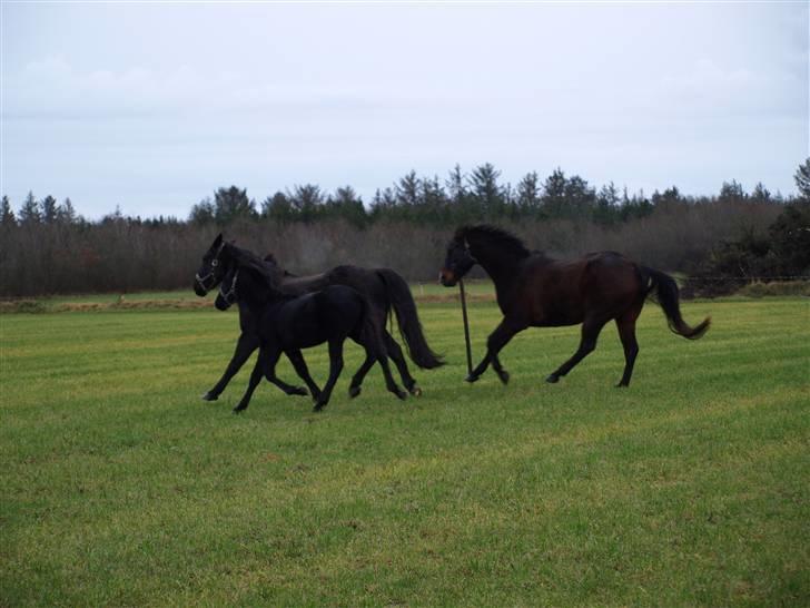 Grimme billeder taget en tilfældig dag på marken billede 7