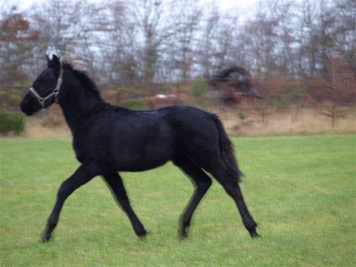 Grimme billeder taget en tilfældig dag på marken billede 8
