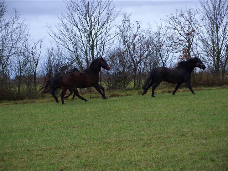 Grimme billeder taget en tilfældig dag på marken billede 9