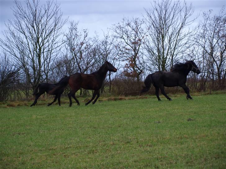 Grimme billeder taget en tilfældig dag på marken billede 10