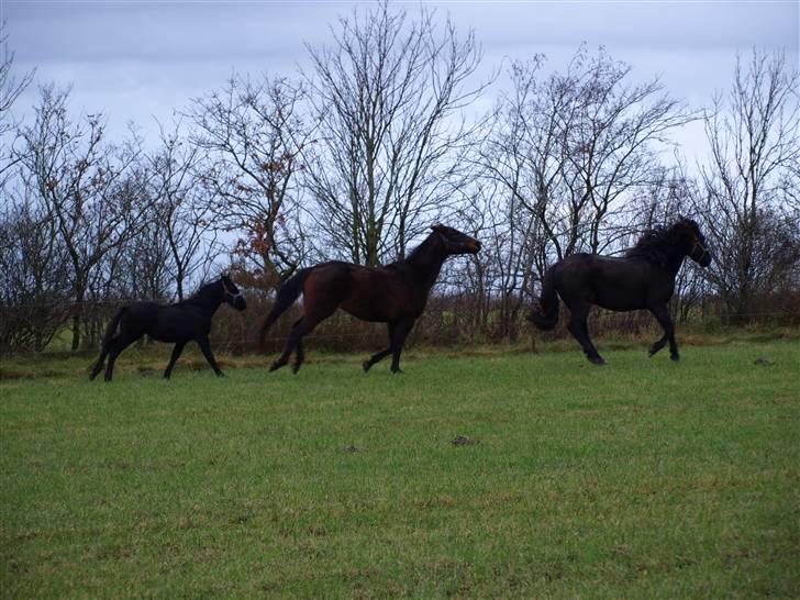 Grimme billeder taget en tilfældig dag på marken billede 11