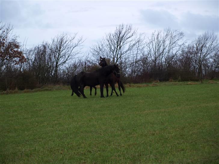 Grimme billeder taget en tilfældig dag på marken billede 12