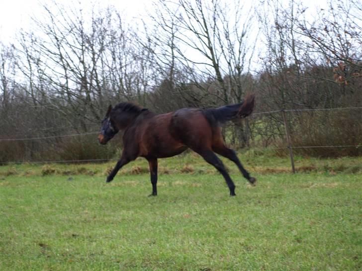 Grimme billeder taget en tilfældig dag på marken billede 13
