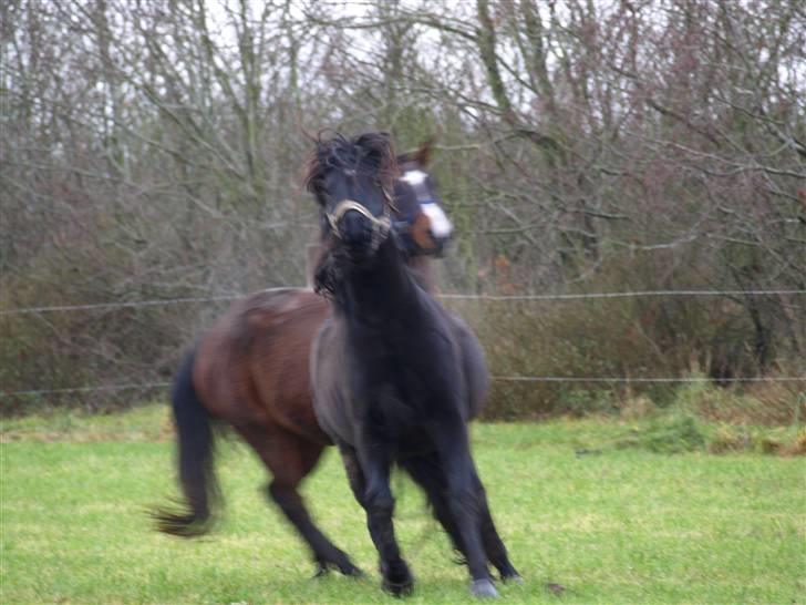 Grimme billeder taget en tilfældig dag på marken billede 14