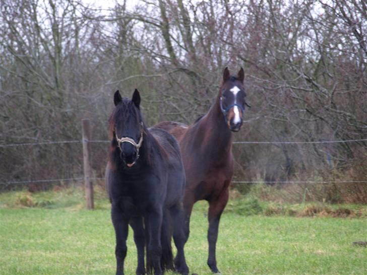Grimme billeder taget en tilfældig dag på marken billede 15