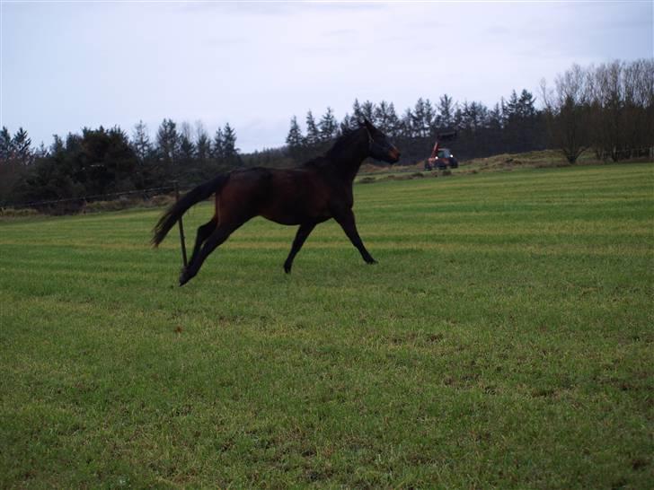 Grimme billeder taget en tilfældig dag på marken billede 16