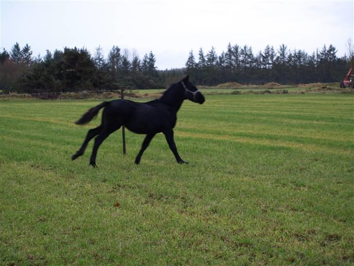 Grimme billeder taget en tilfældig dag på marken billede 17