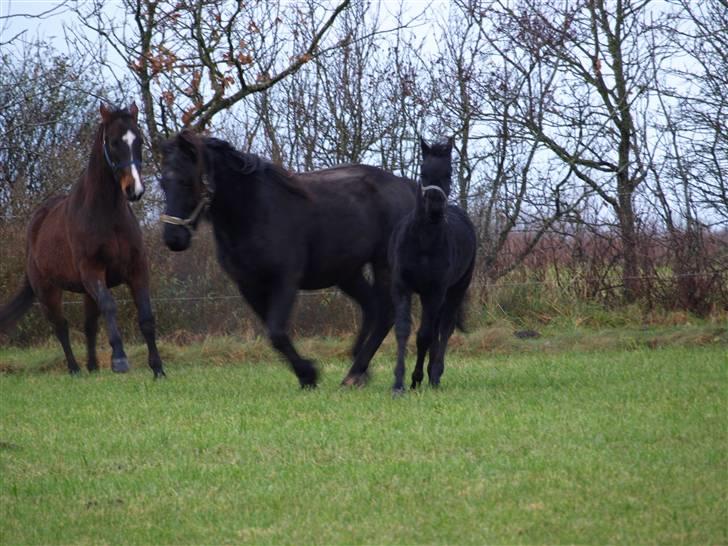 Grimme billeder taget en tilfældig dag på marken billede 18