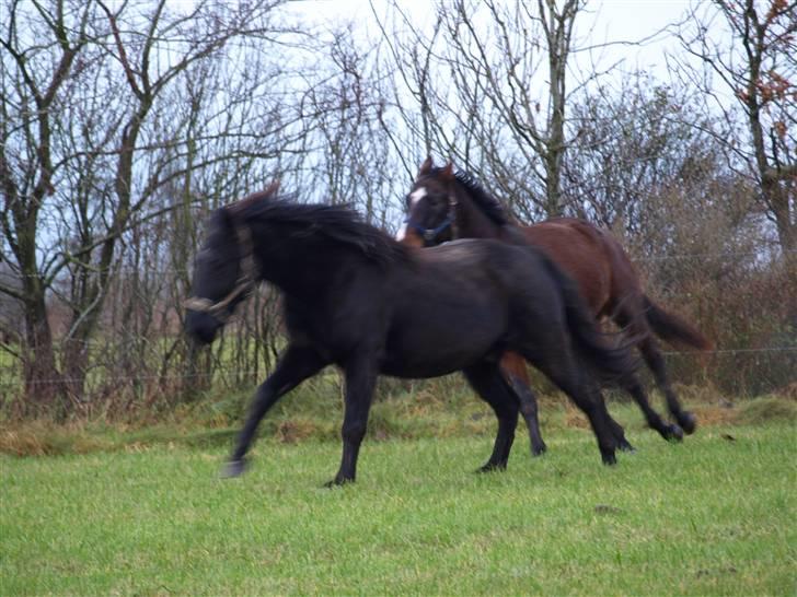 Grimme billeder taget en tilfældig dag på marken billede 19