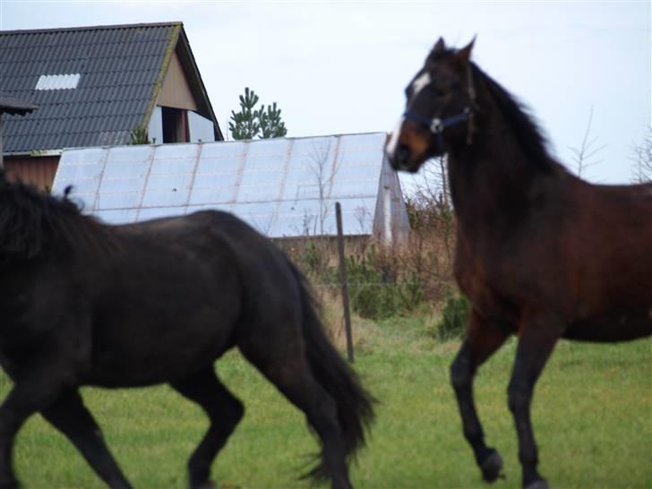 Grimme billeder taget en tilfældig dag på marken billede 21