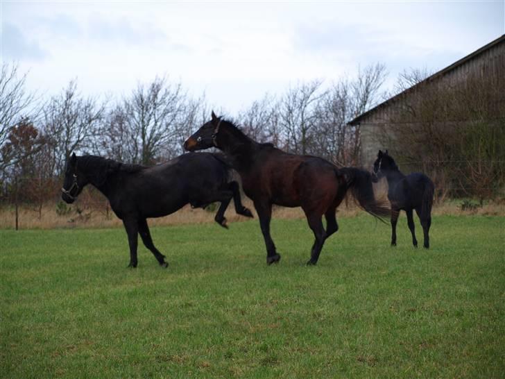 Grimme billeder taget en tilfældig dag på marken billede 22