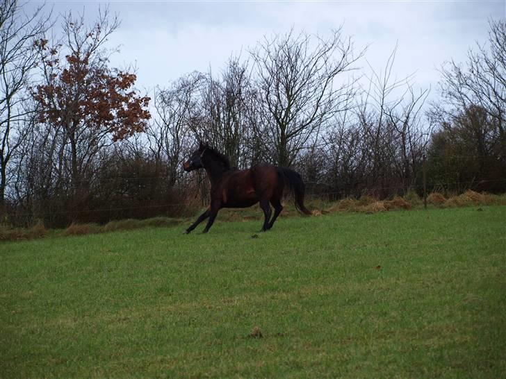 Grimme billeder taget en tilfældig dag på marken billede 23