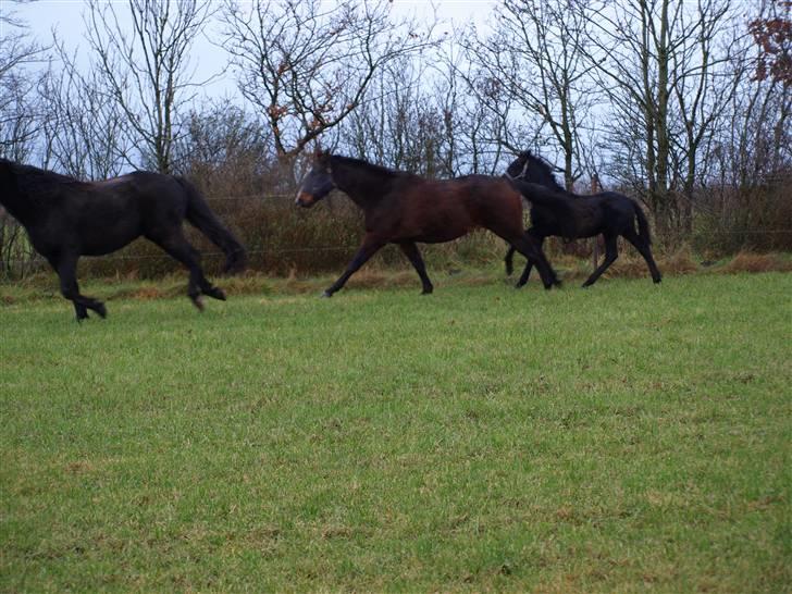 Grimme billeder taget en tilfældig dag på marken billede 24
