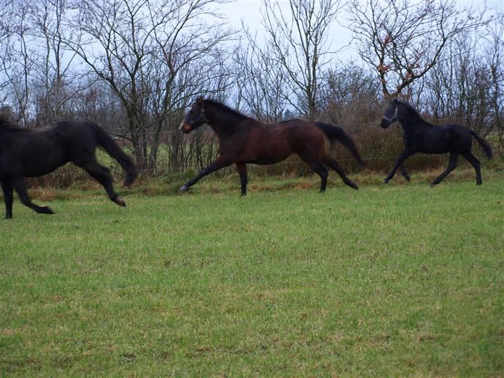 Grimme billeder taget en tilfældig dag på marken billede 25