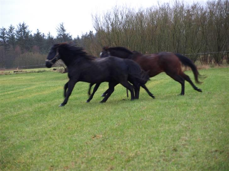Grimme billeder taget en tilfældig dag på marken billede 26