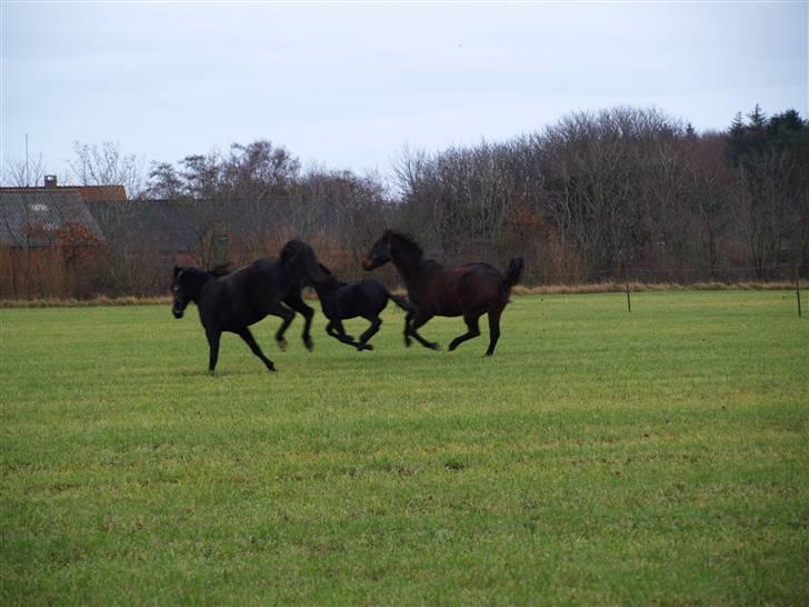 Grimme billeder taget en tilfældig dag på marken billede 27