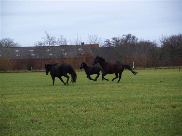 Grimme billeder taget en tilfældig dag på marken billede 28