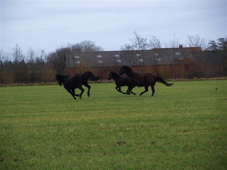 Grimme billeder taget en tilfældig dag på marken billede 29