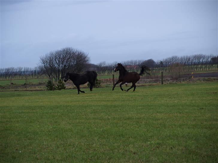 Grimme billeder taget en tilfældig dag på marken billede 30
