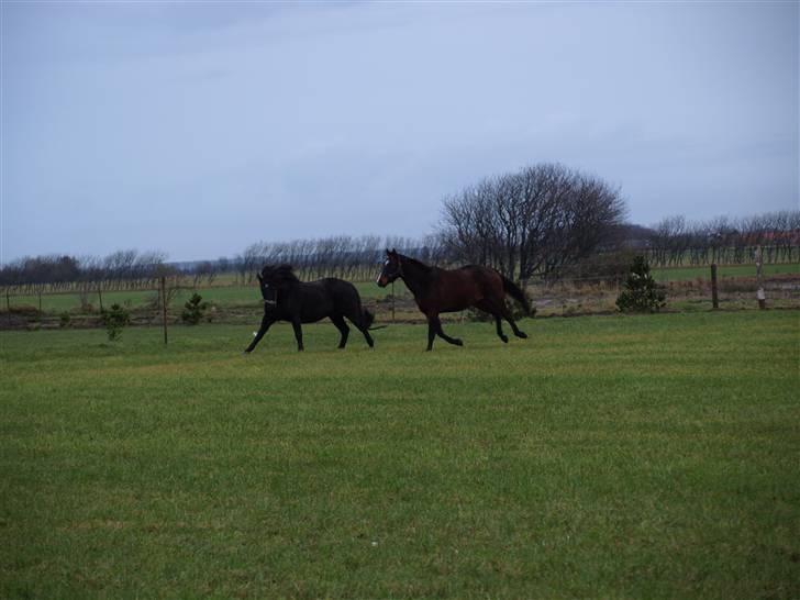 Grimme billeder taget en tilfældig dag på marken billede 31