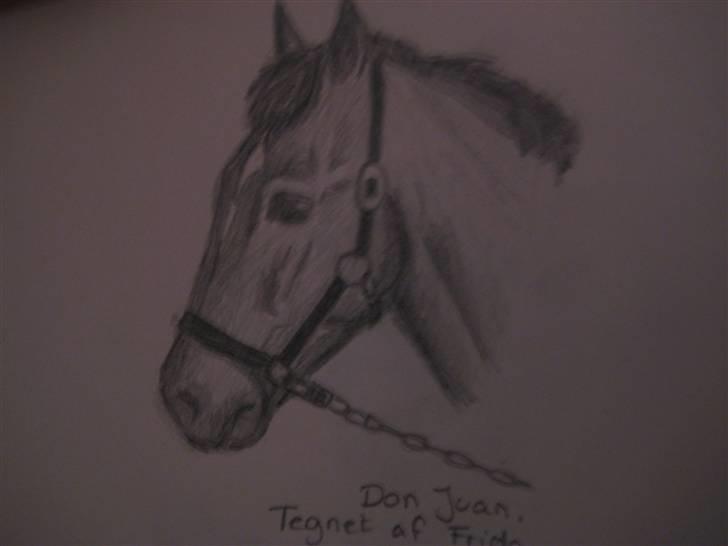 Tegninger  xD - 10} Don juan . ret tilfreds. efterår 08, tror jeg.. billede 9