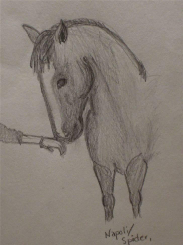 Tegninger  xD - 10} Napoli/spider, efterår 08 tror jeg.. billede 11