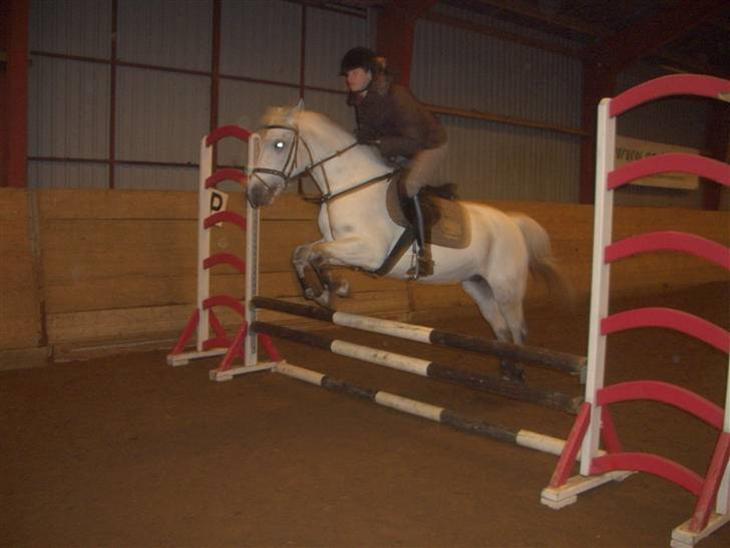 {{currentPhoto.altText}} billede {{currentPhoto.number}}